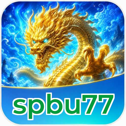Audit profile spbu77